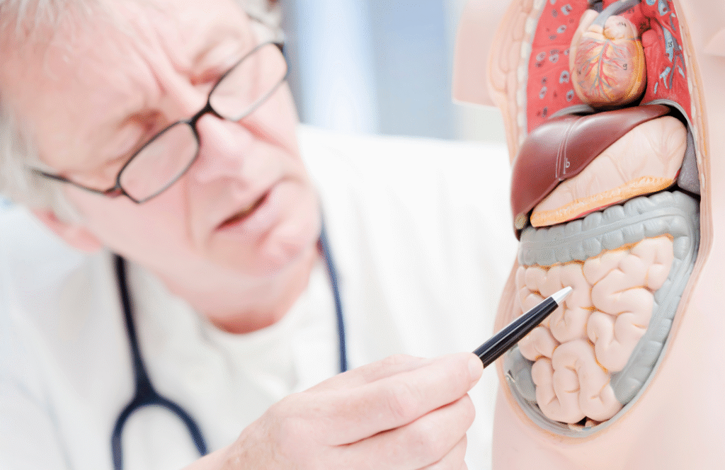 Bolesti-probavnog-sustava-pouchitis-crijevo