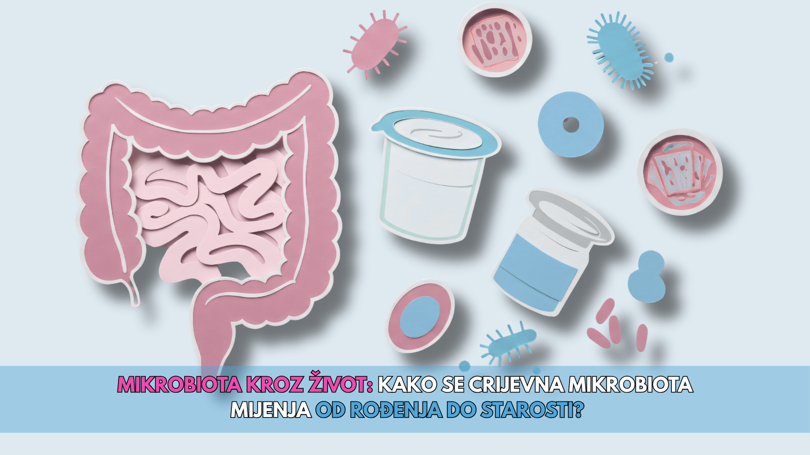 Mikrobiota kroz život kako se crijevna mikrobiota mijenja od rođenja do starosti